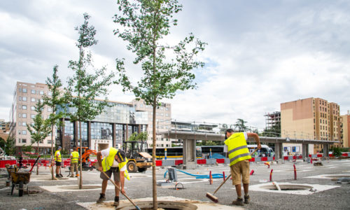 Chantier Place Francfort